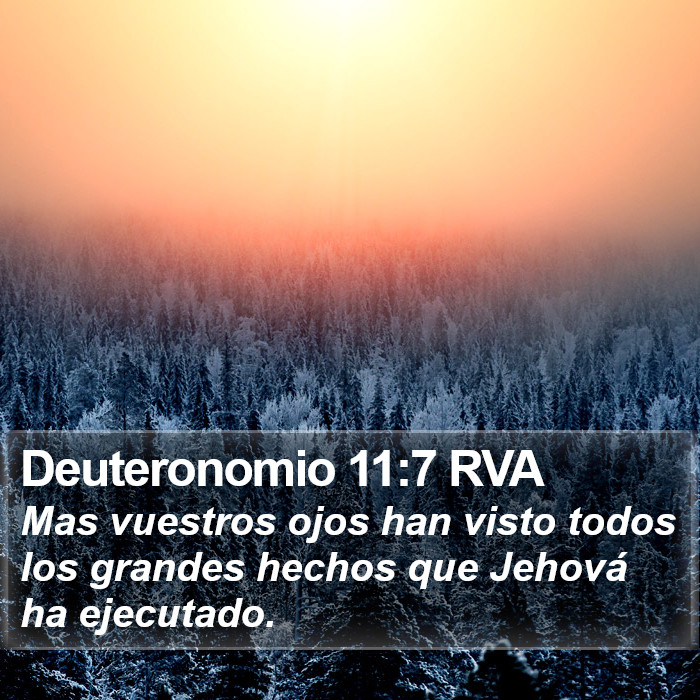 Deuteronomio 11:7 RVA Bible Study