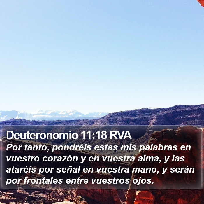 Deuteronomio 11:18 RVA Bible Study