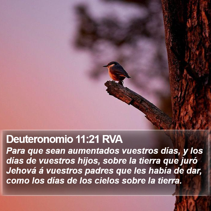 Deuteronomio 11:21 RVA Bible Study