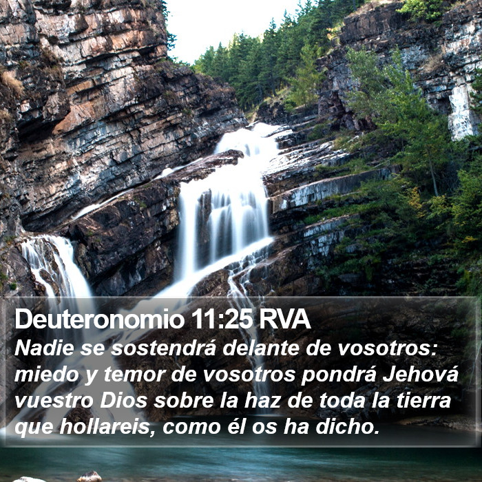 Deuteronomio 11:25 RVA Bible Study