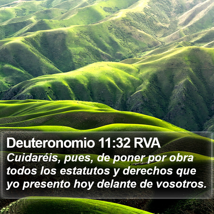 Deuteronomio 11:32 RVA Bible Study