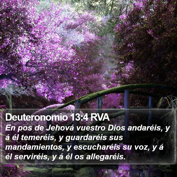 Deuteronomio 13:4 RVA Bible Study