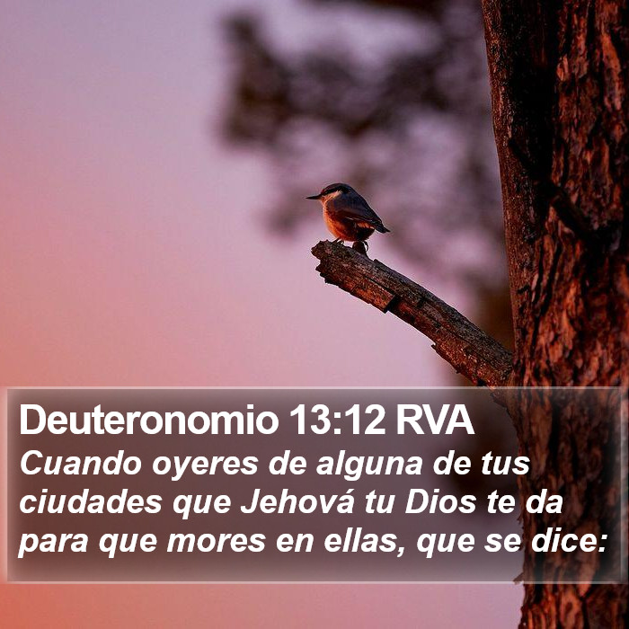 Deuteronomio 13:12 RVA Bible Study