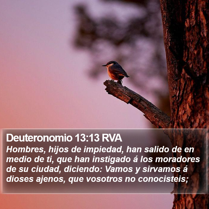 Deuteronomio 13:13 RVA Bible Study