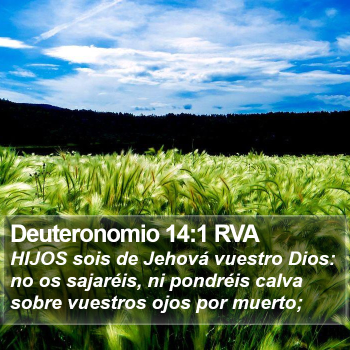 Deuteronomio 14:1 RVA Bible Study