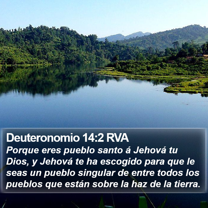 Deuteronomio 14:2 RVA Bible Study