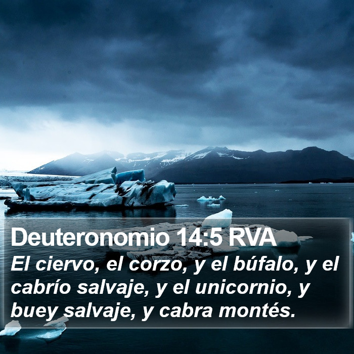 Deuteronomio 14:5 RVA Bible Study