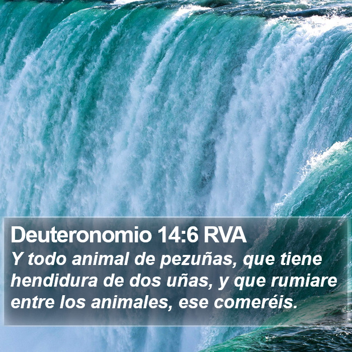 Deuteronomio 14:6 RVA Bible Study