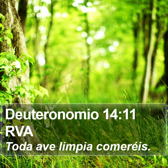 Deuteronomio 14:11 RVA Bible Study