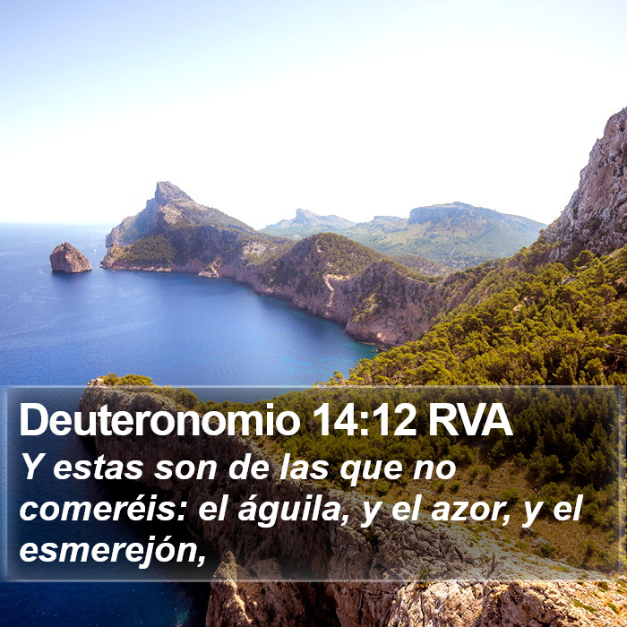 Deuteronomio 14:12 RVA Bible Study