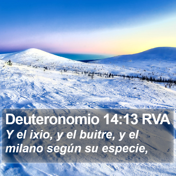 Deuteronomio 14:13 RVA Bible Study