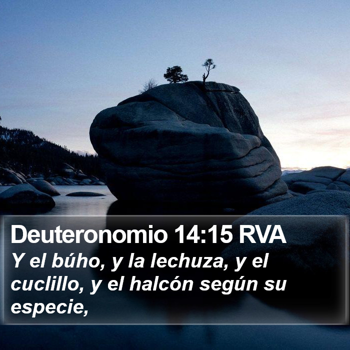 Deuteronomio 14:15 RVA Bible Study