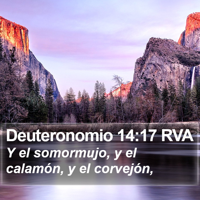 Deuteronomio 14:17 RVA Bible Study