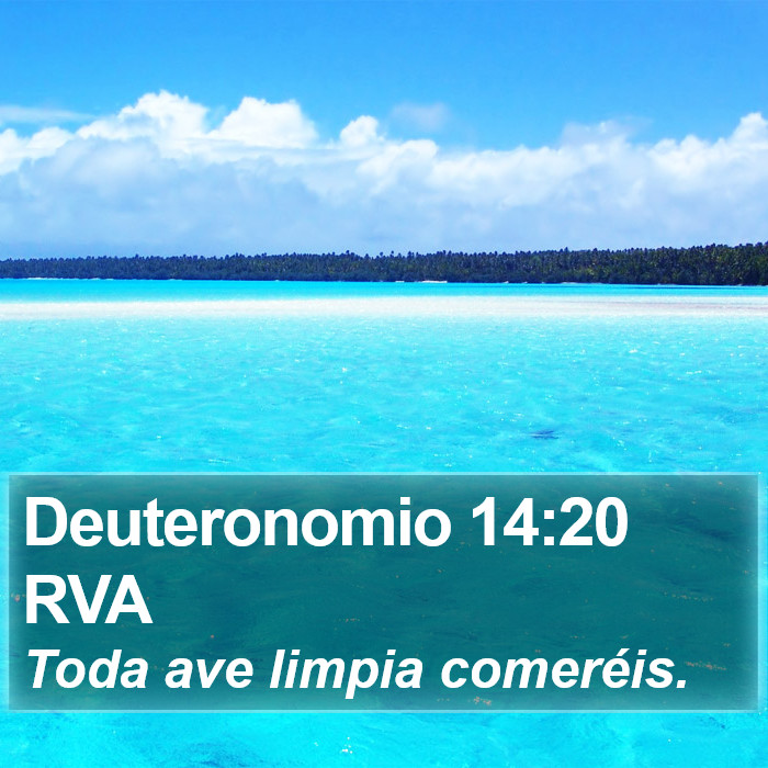 Deuteronomio 14:20 RVA Bible Study