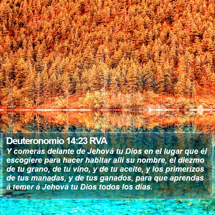 Deuteronomio 14:23 RVA Bible Study