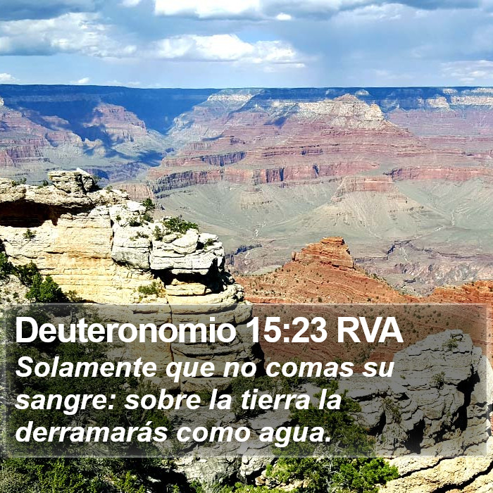 Deuteronomio 15:23 RVA Bible Study