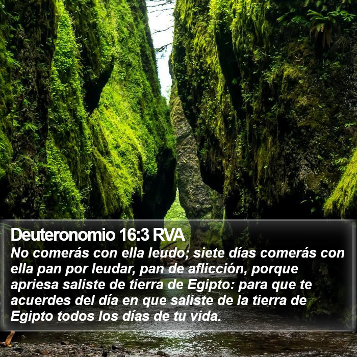 Deuteronomio 16:3 RVA Bible Study