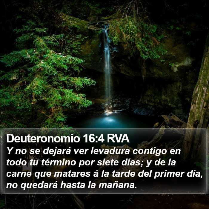 Deuteronomio 16:4 RVA Bible Study