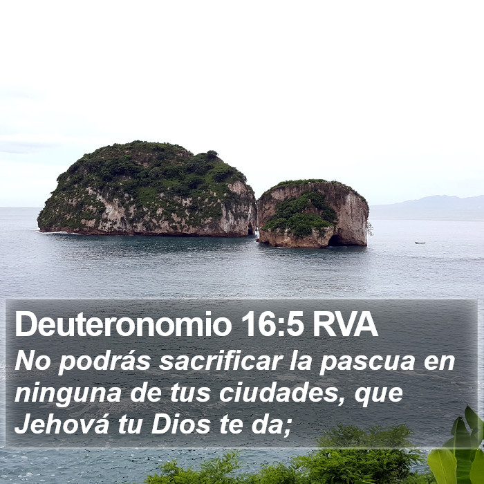 Deuteronomio 16:5 RVA Bible Study