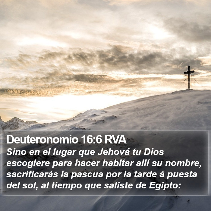 Deuteronomio 16:6 RVA Bible Study