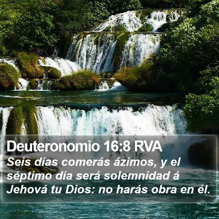 Deuteronomio 16:8 RVA Bible Study