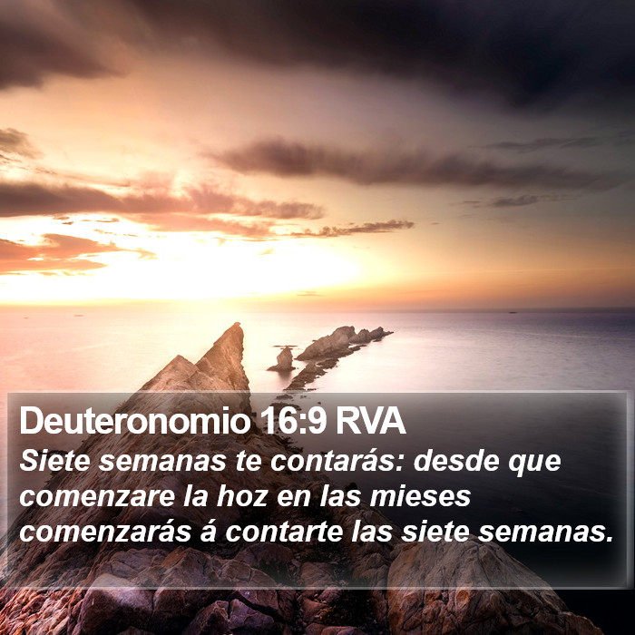 Deuteronomio 16:9 RVA Bible Study