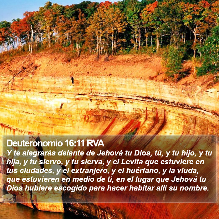 Deuteronomio 16:11 RVA Bible Study