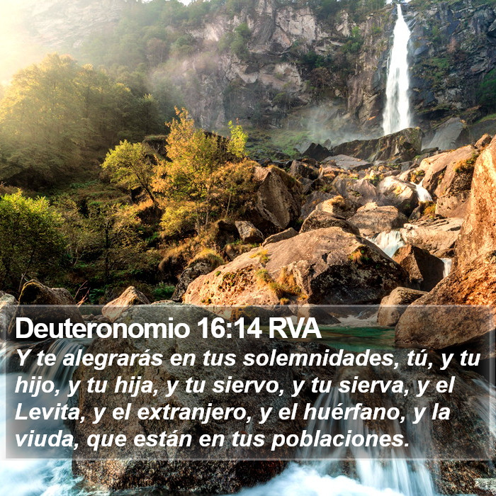 Deuteronomio 16:14 RVA Bible Study