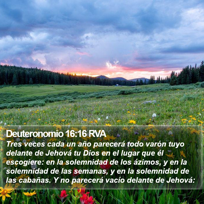 Deuteronomio 16:16 RVA Bible Study