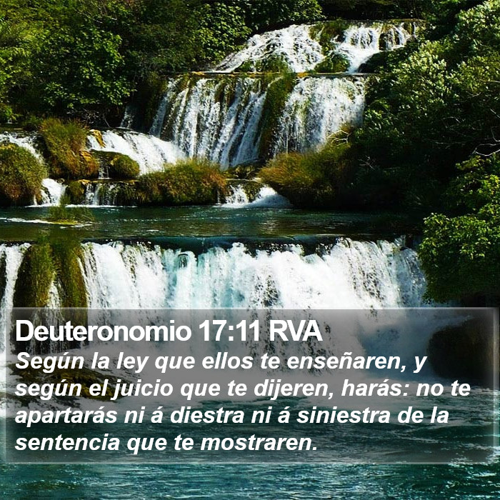 Deuteronomio 17:11 RVA Bible Study