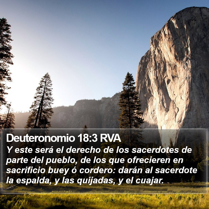 Deuteronomio 18:3 RVA Bible Study