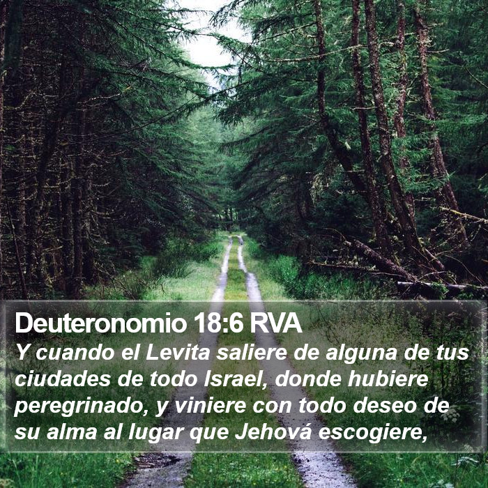 Deuteronomio 18:6 RVA Bible Study