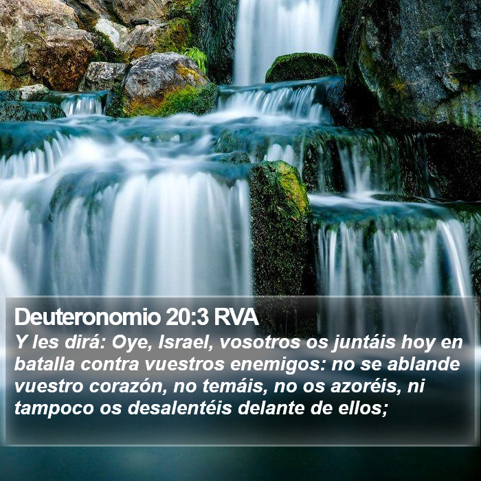 Deuteronomio 20:3 RVA Bible Study