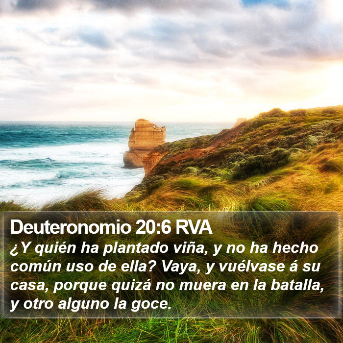 Deuteronomio 20:6 RVA Bible Study