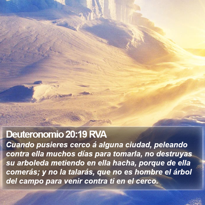 Deuteronomio 20:19 RVA Bible Study