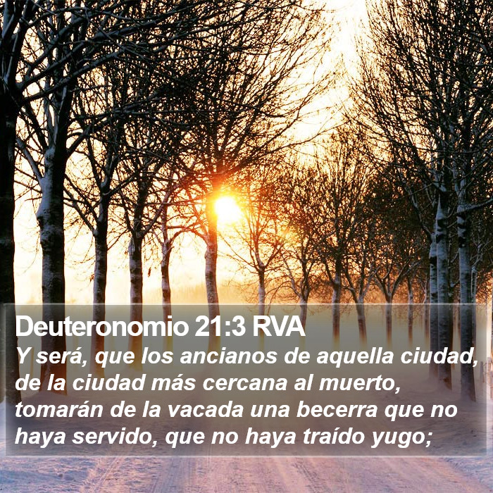 Deuteronomio 21:3 RVA Bible Study