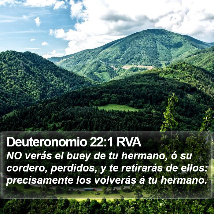 Deuteronomio 22:1 RVA Bible Study