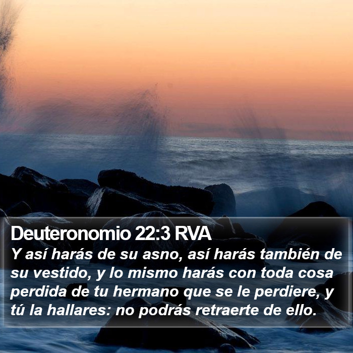 Deuteronomio 22:3 RVA Bible Study