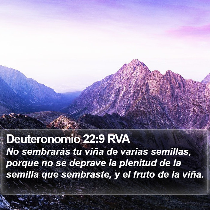 Deuteronomio 22:9 RVA Bible Study