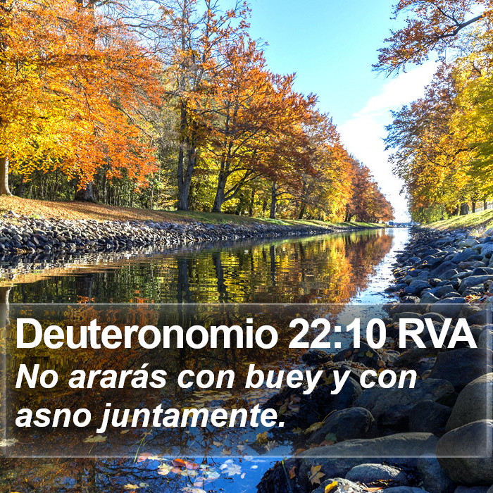 Deuteronomio 22:10 RVA Bible Study