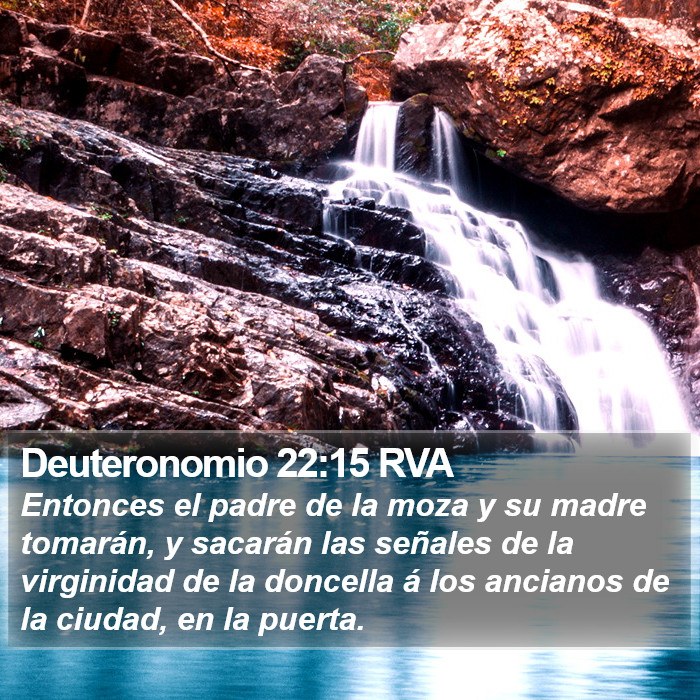 Deuteronomio 22:15 RVA Bible Study