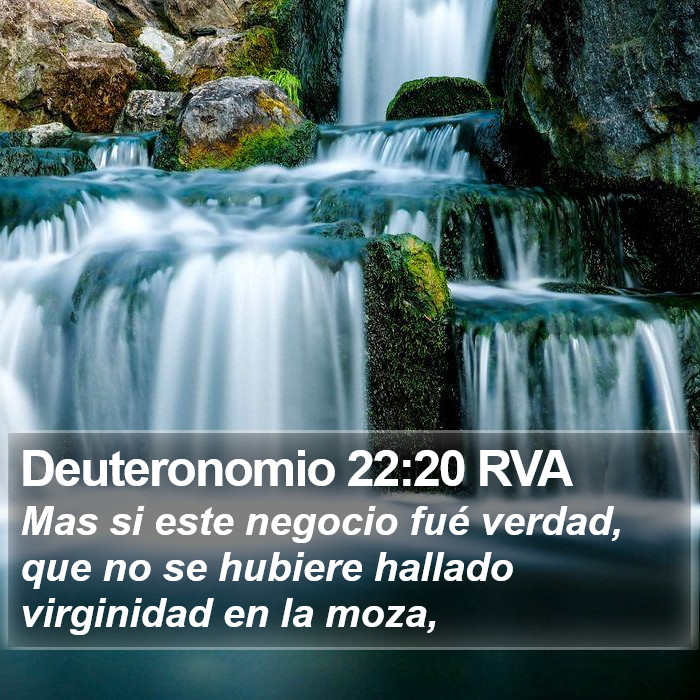 Deuteronomio 22:20 RVA Bible Study