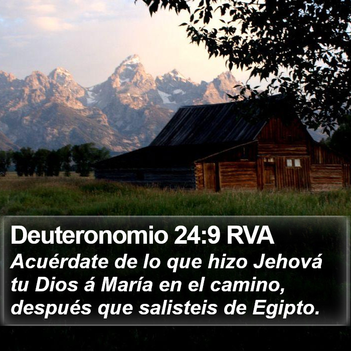 Deuteronomio 24:9 RVA Bible Study