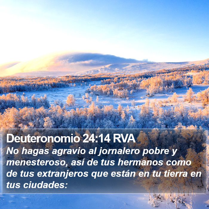 Deuteronomio 24:14 RVA Bible Study