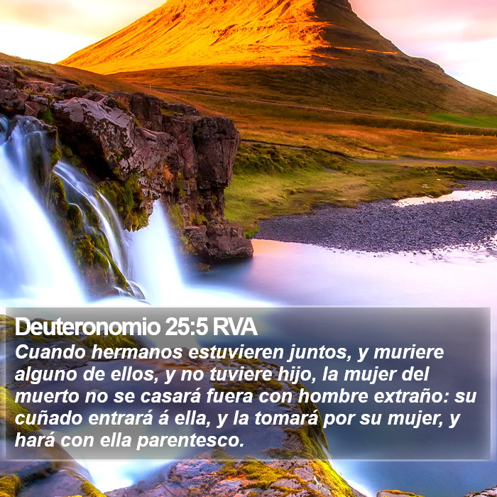 Deuteronomio 25:5 RVA Bible Study