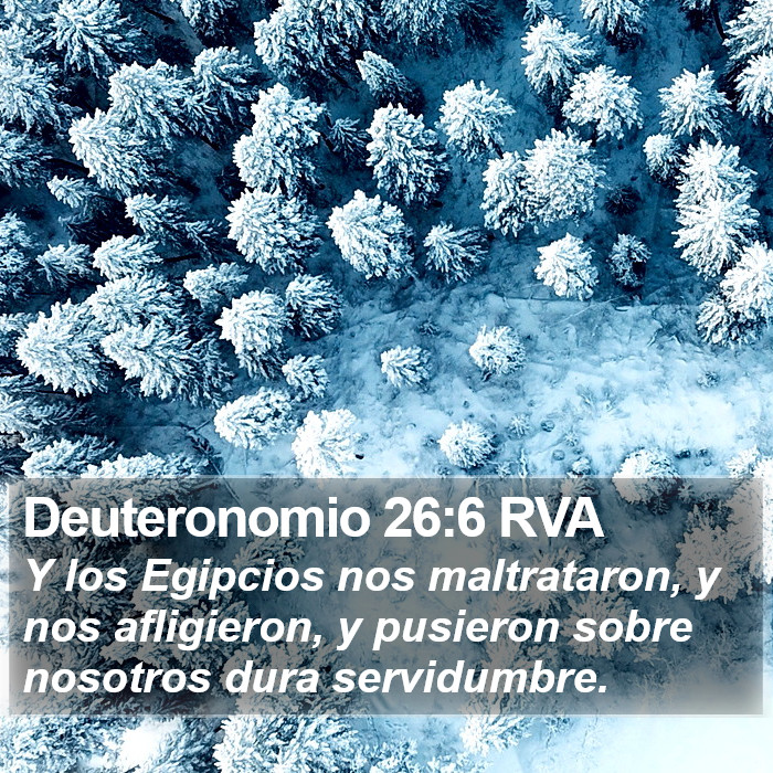 Deuteronomio 26:6 RVA Bible Study