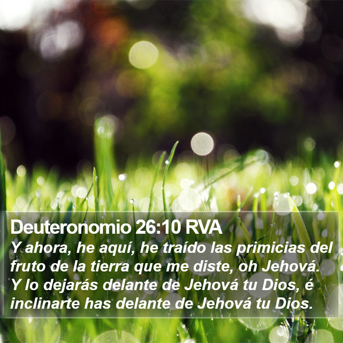 Deuteronomio 26:10 RVA Bible Study