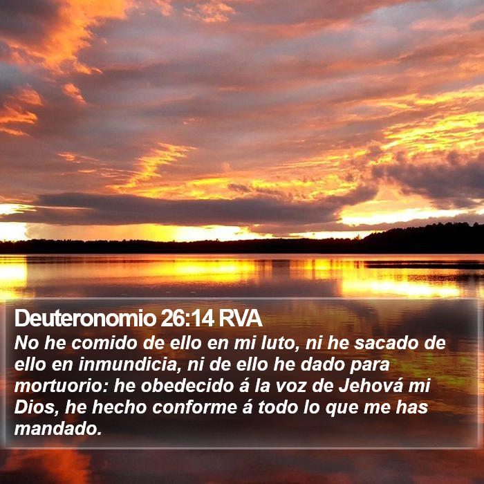 Deuteronomio 26:14 RVA Bible Study