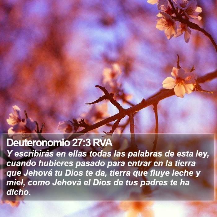 Deuteronomio 27:3 RVA Bible Study