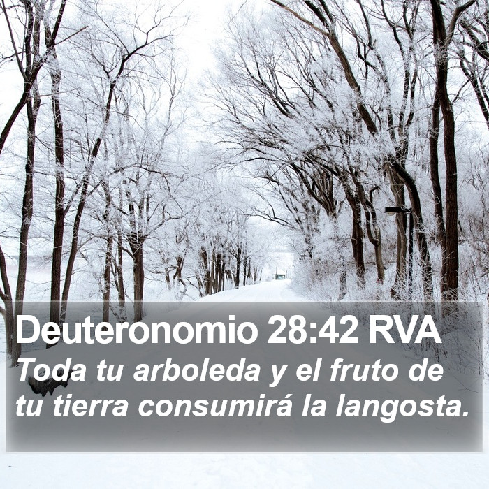 Deuteronomio 28:42 RVA Bible Study